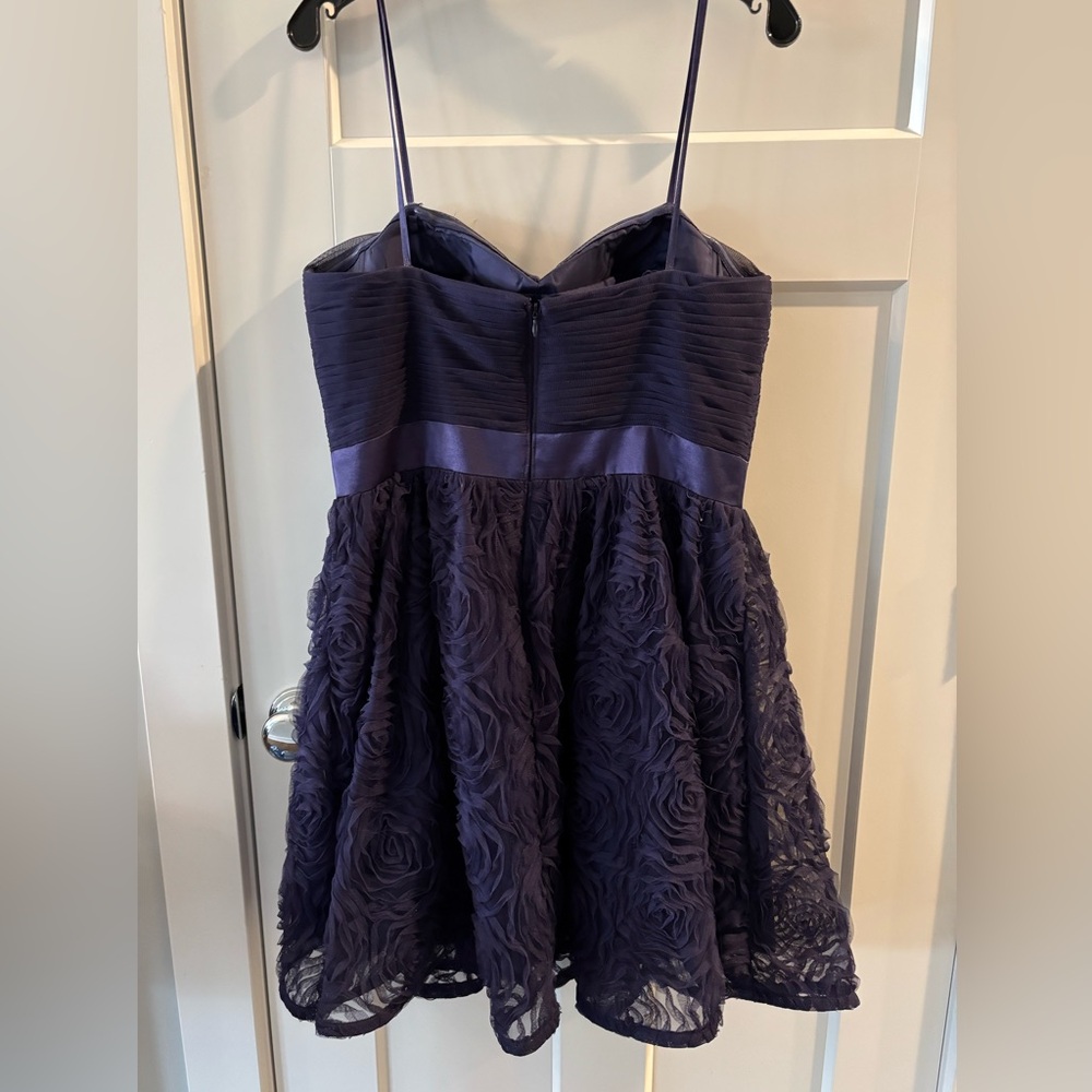 Adrianna Papell Evening Collection Dress